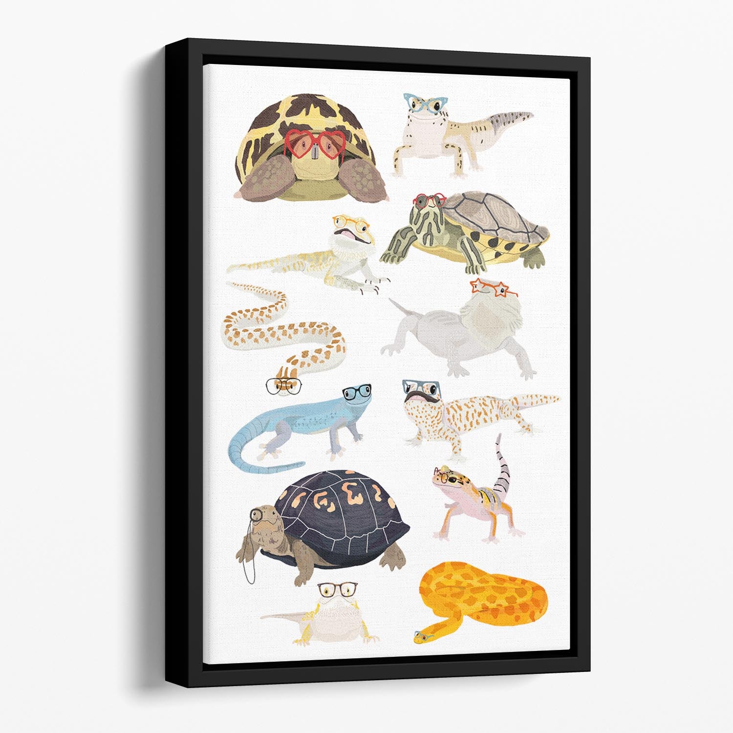 12 Reptiles In Glasses Floating Framed Canvas - 1x - 1