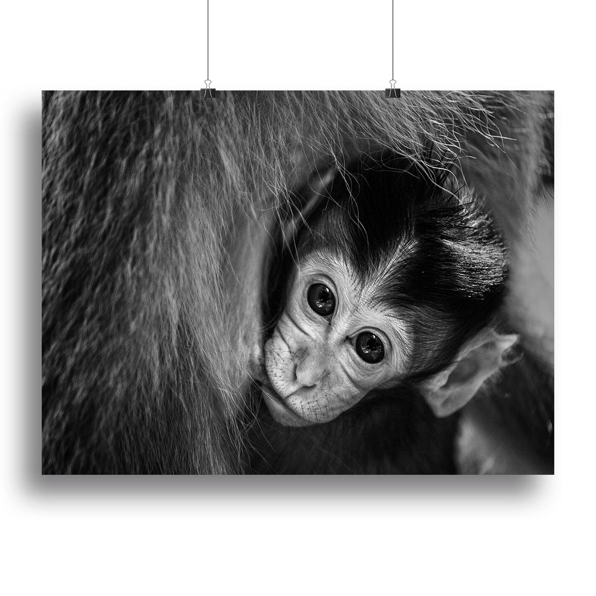 A Mothers Love Canvas Print or Poster - 1x - 2