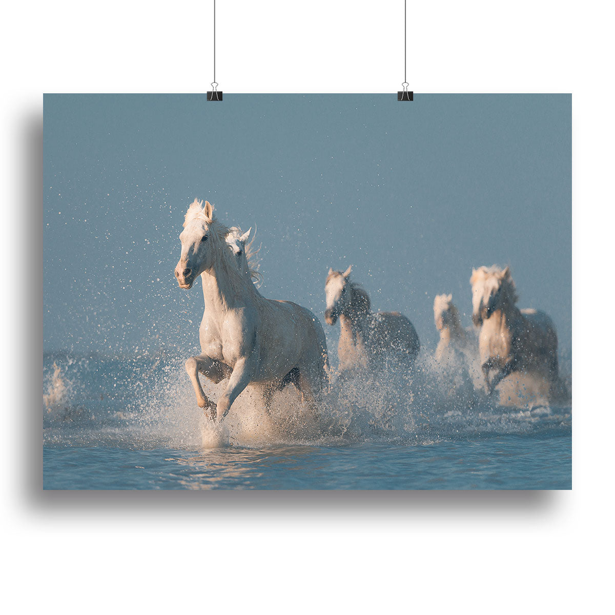 Angels of Camargue Canvas Print or Poster - 1x - 2