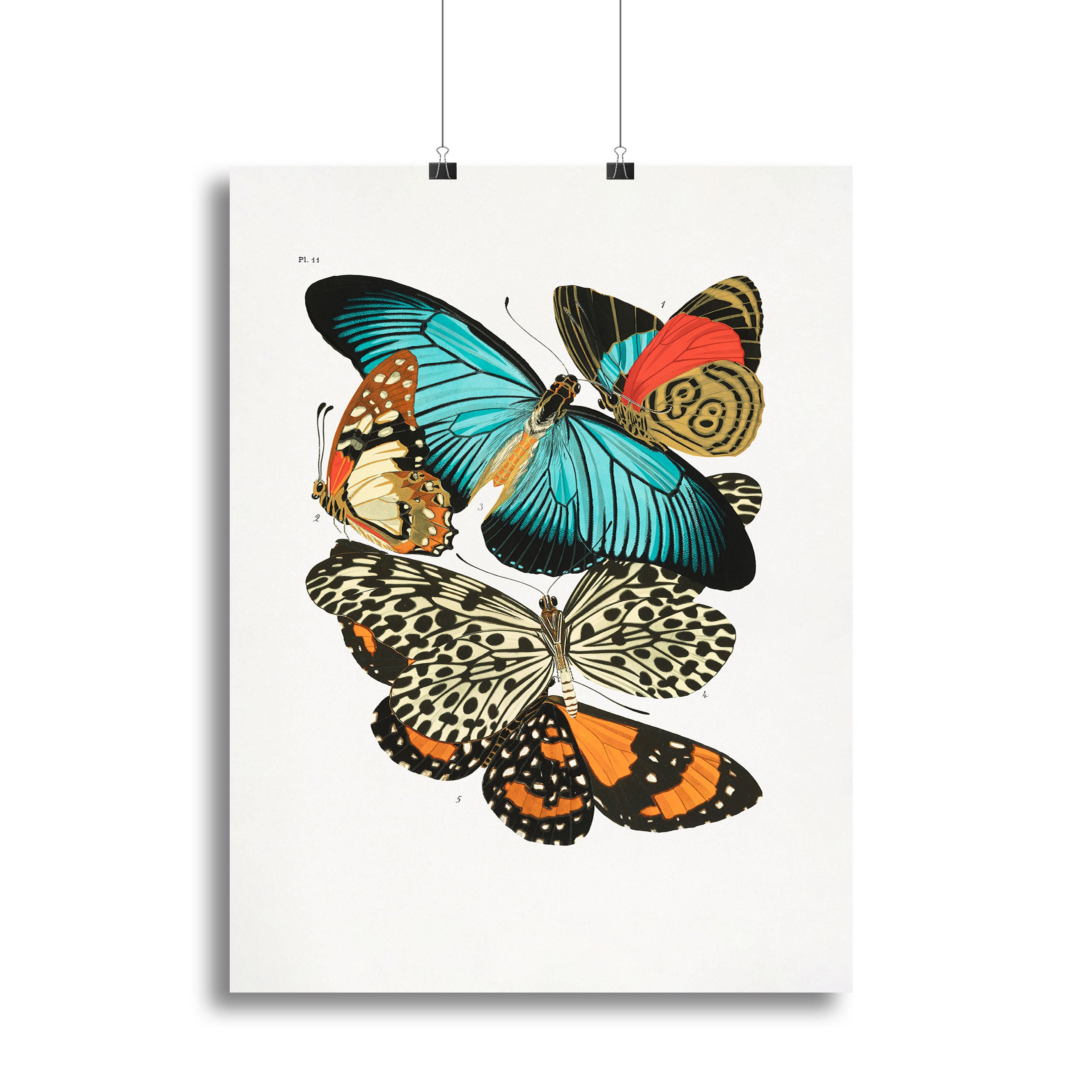 Butterflies Part 11 Canvas Print or Poster - Canvas Art Rocks - 2