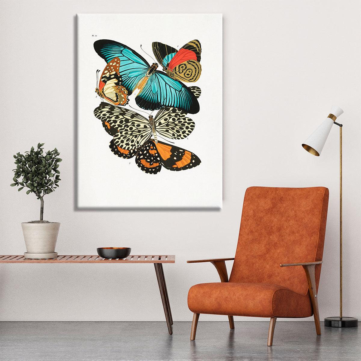 Butterflies Part 11 Canvas Print or Poster - Canvas Art Rocks - 6