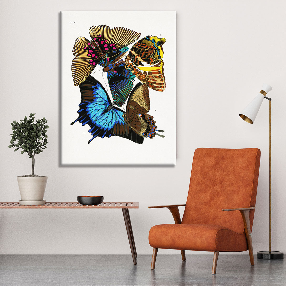 Butterflies Part 16 Canvas Print or Poster - Canvas Art Rocks - 6