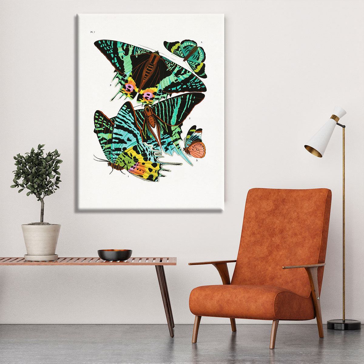 Butterflies Part 7 Canvas Print or Poster - Canvas Art Rocks - 6