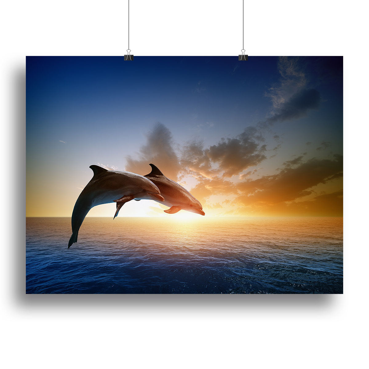 Couple jumping dolphins Poster - Unframed