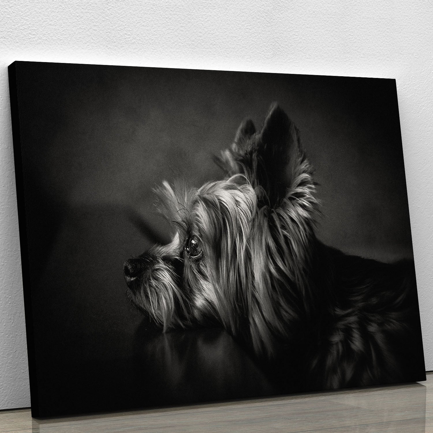 I have been waiting for you Canvas Print or Poster - 1x - 1
