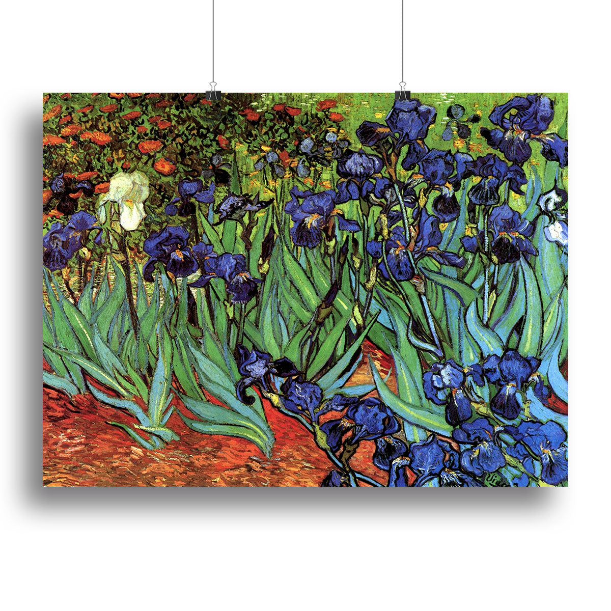 Irises 2 by Van Gogh Poster - Unframed
