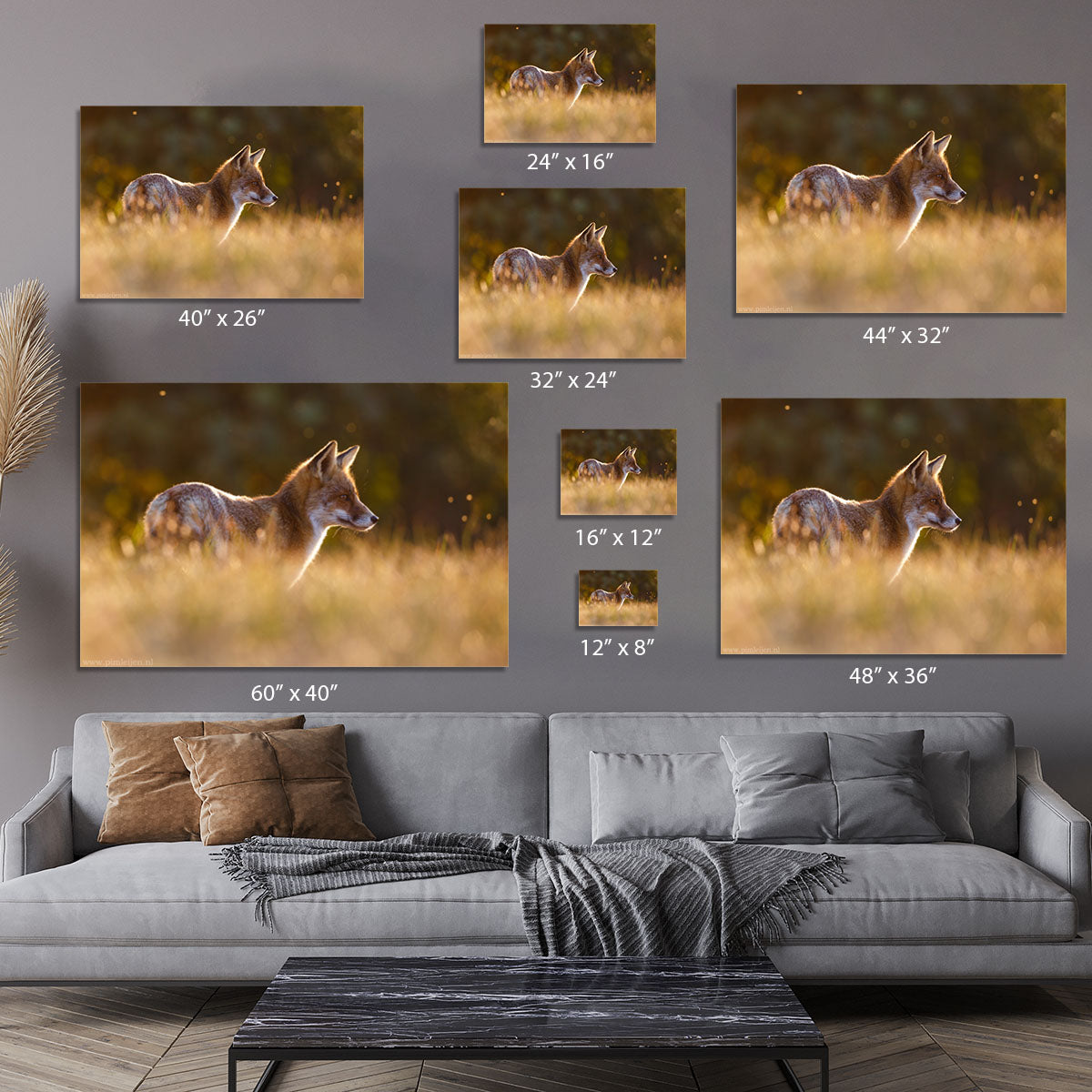 Last Light Fox Canvas Print or Poster - 1x - 7