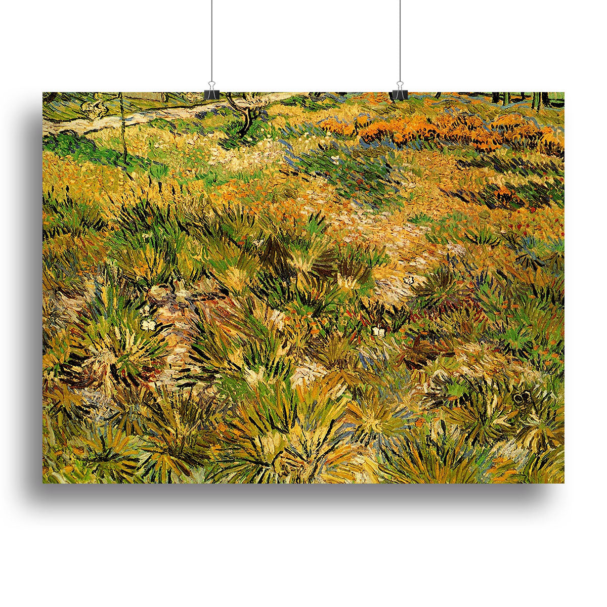 Meadow in the Garden of Saint-Paul Hospital by Van Gogh Poster - Unframed