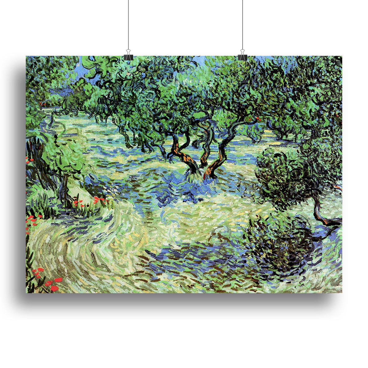 Olive Grove by Van Gogh Poster - Unframed