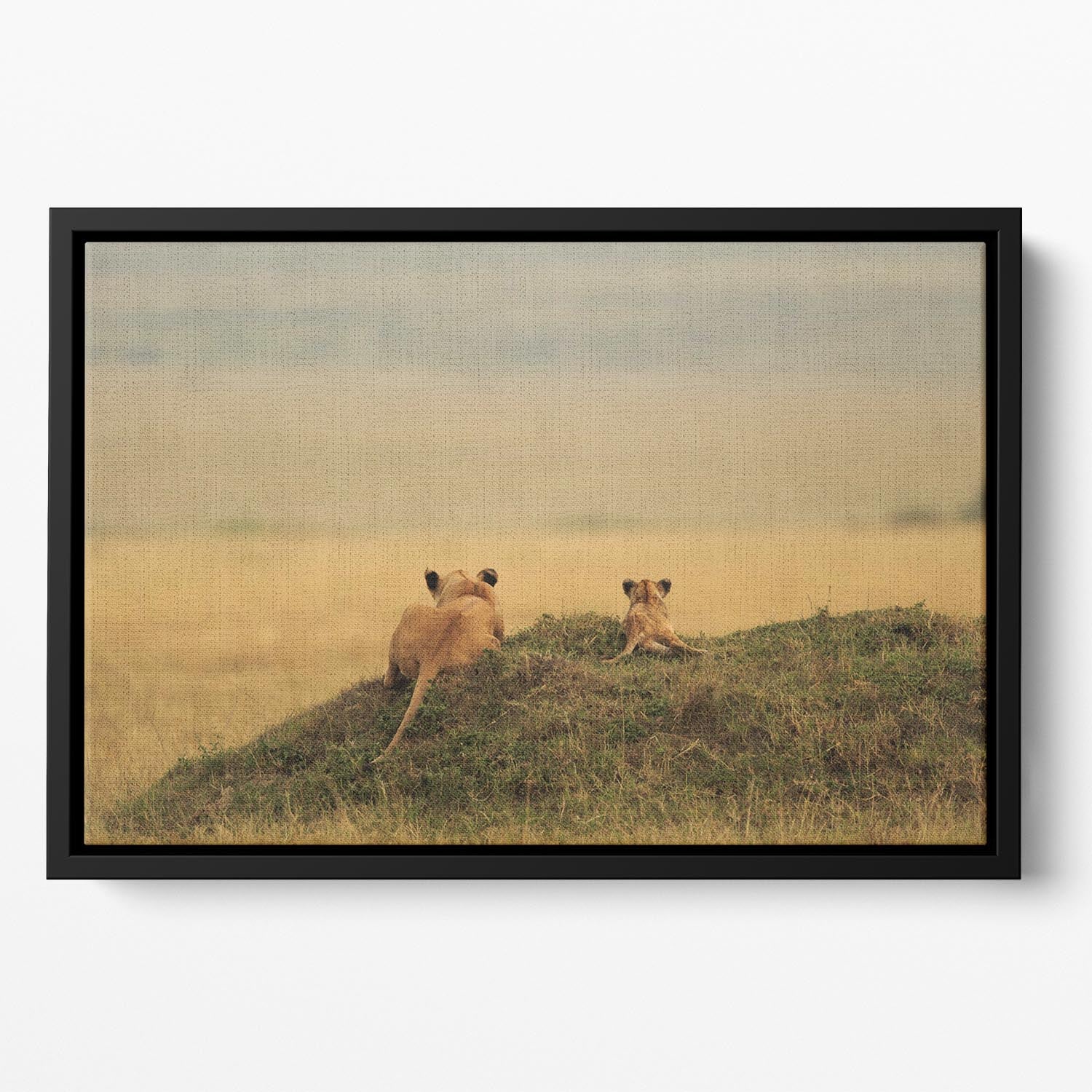 One day it will be yours Floating Framed Canvas - 1x - 2