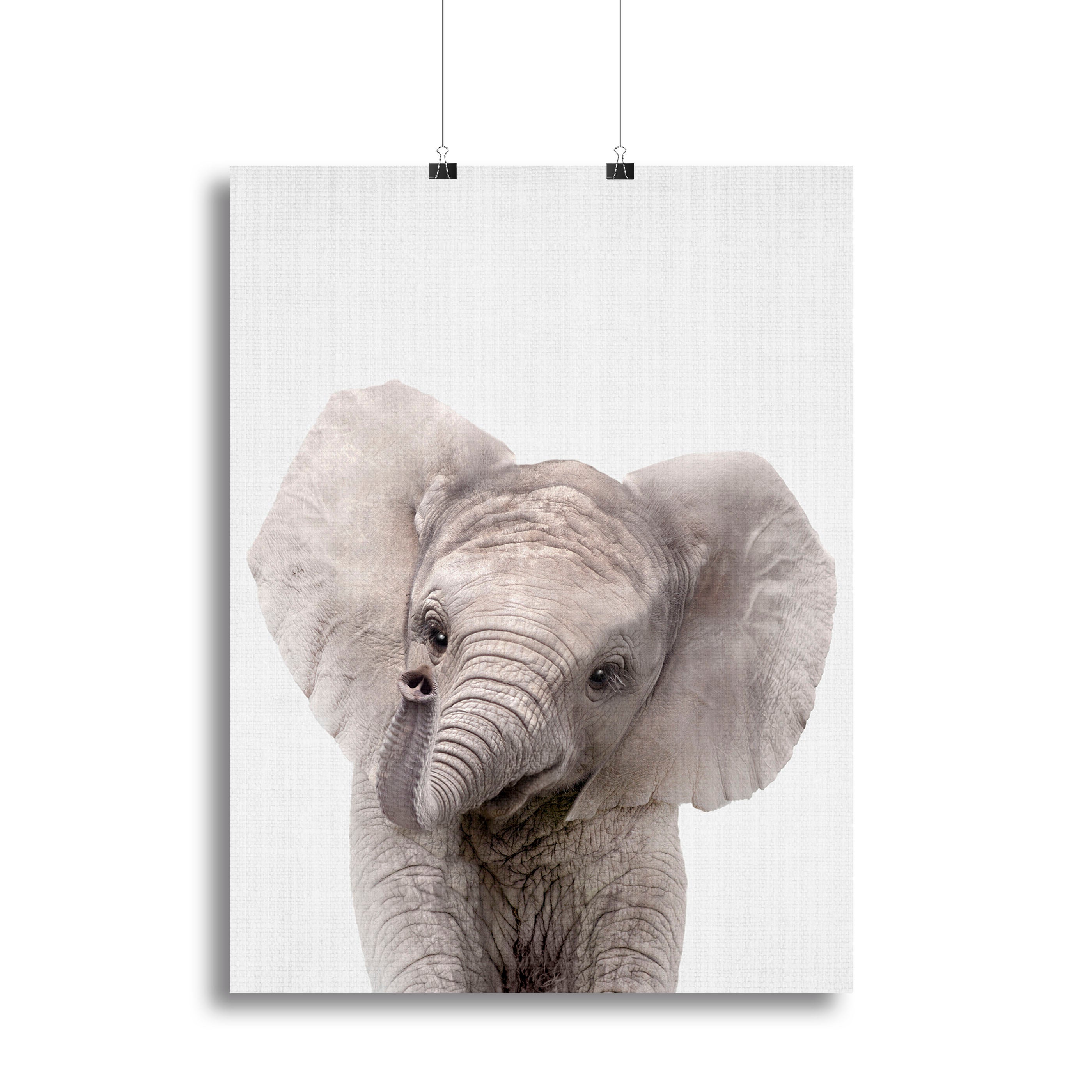 Peekaboo Baby Elephant Canvas Print or Poster - 1x - 2