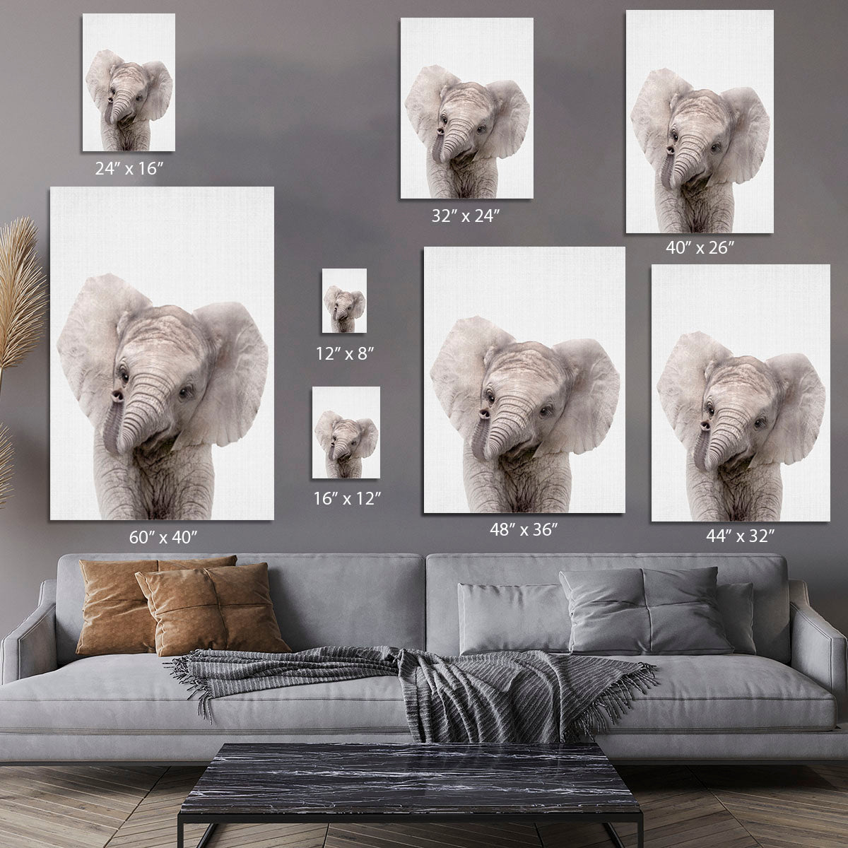 Peekaboo Baby Elephant Canvas Print or Poster - 1x - 7