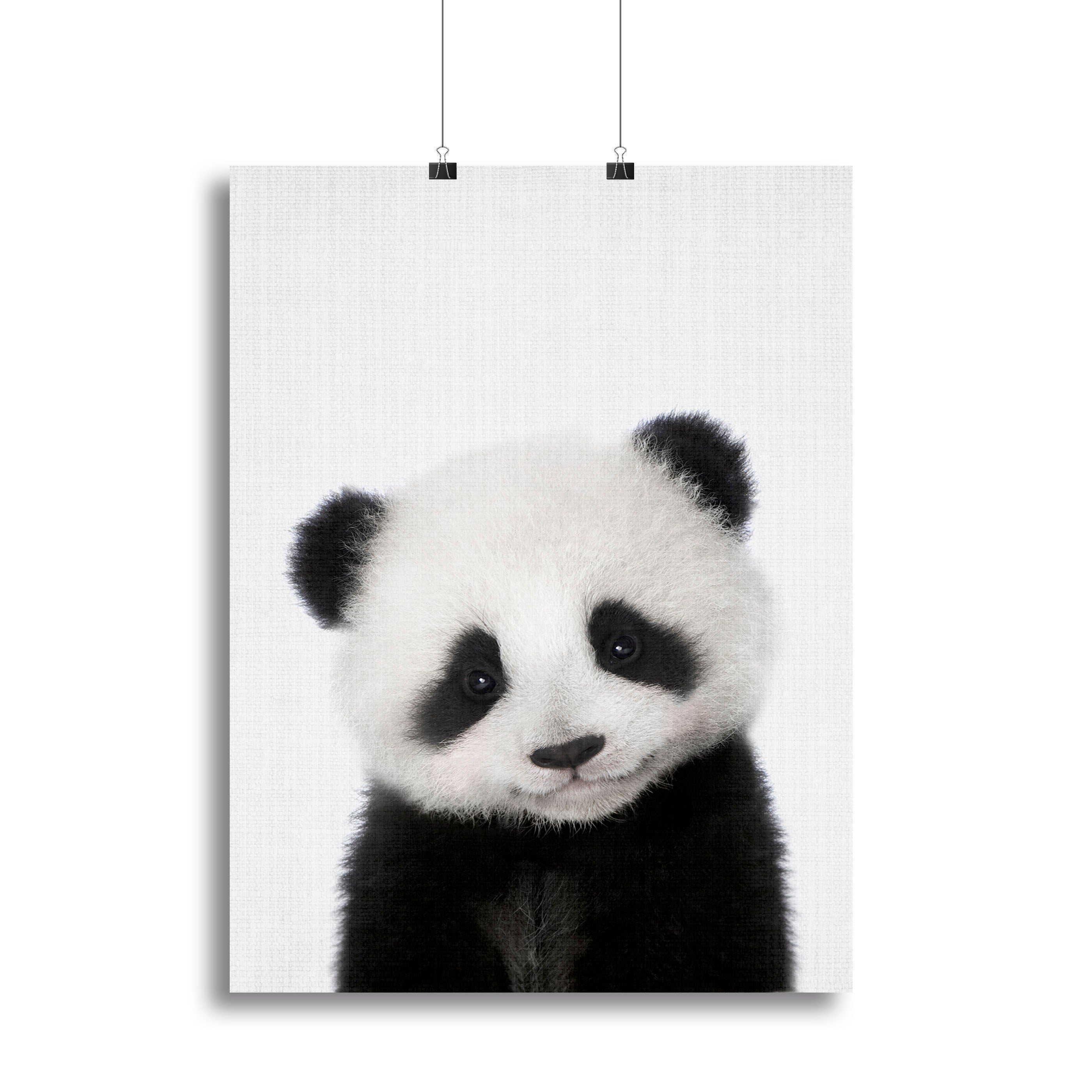 Peekaboo Baby Panda Canvas Print or Poster - 1x - 2