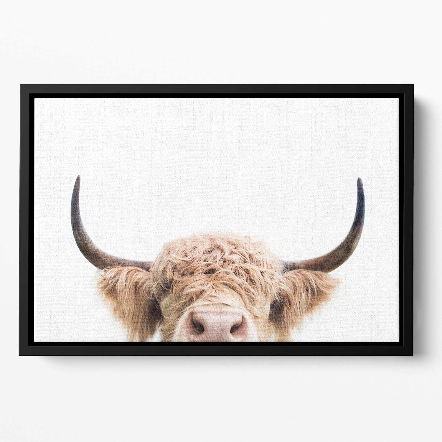 Peeking Cow Floating Framed Canvas - 1x - 2