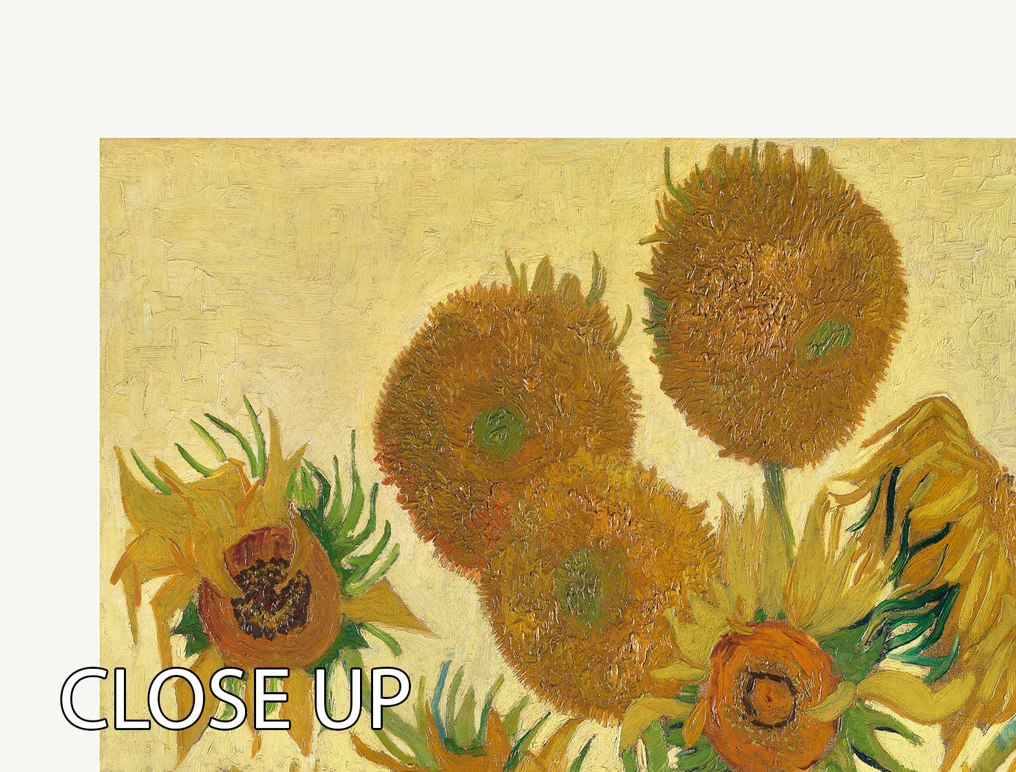 Sunflowers Titled 3 Split Panel Canvas Print - Canvas Art Rocks - 3