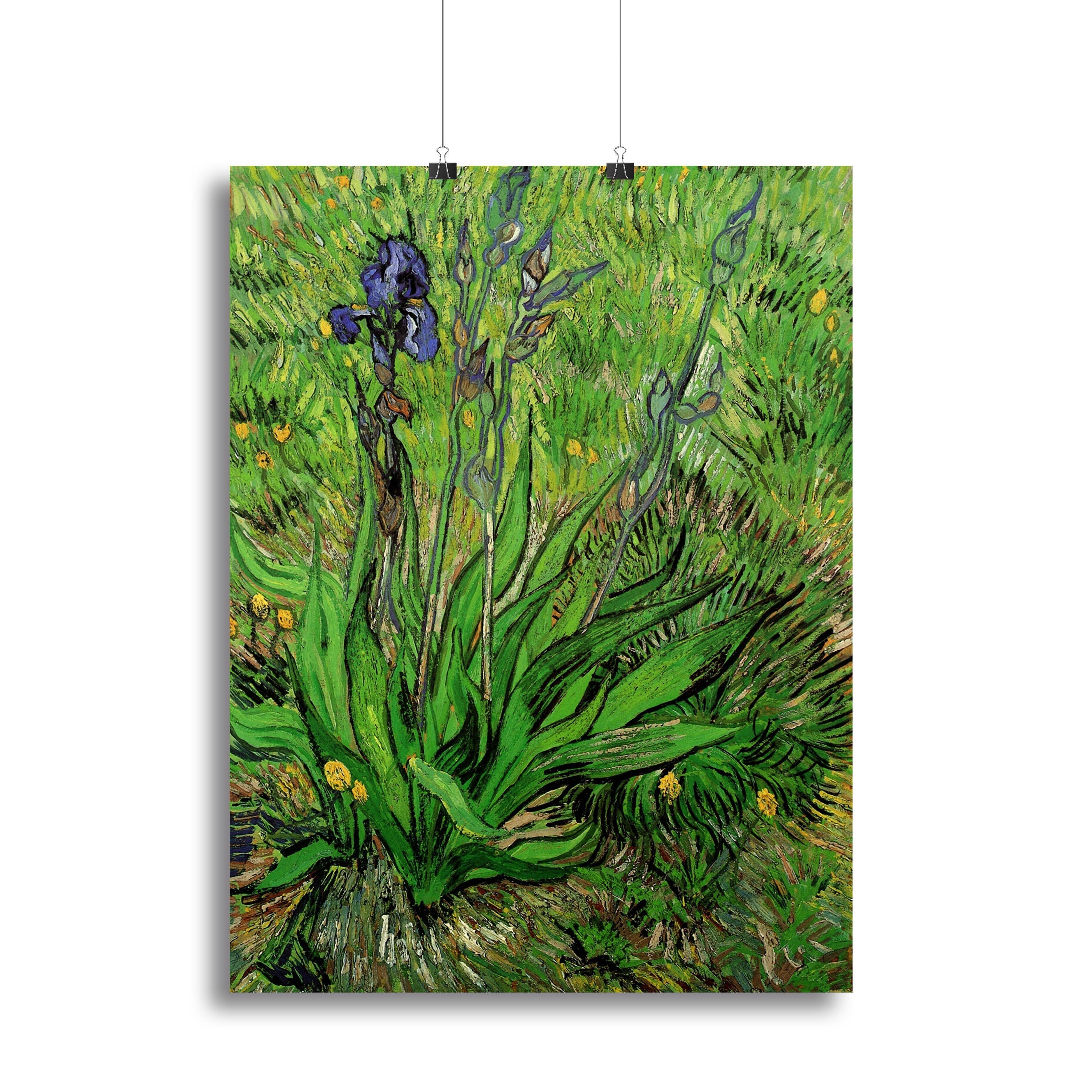 The Iris by Van Gogh Poster - Unframed