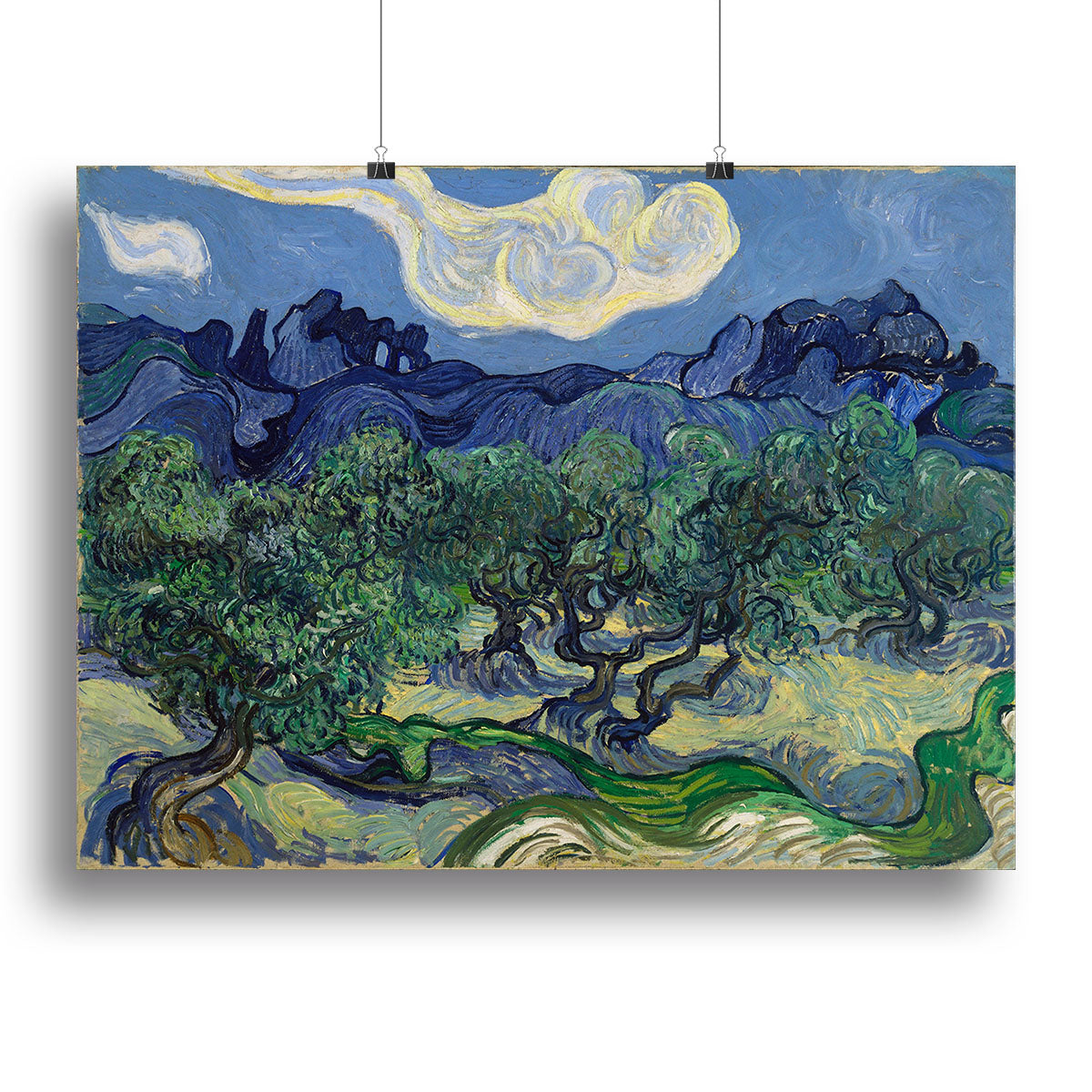 The Olive trees Poster - Unframed