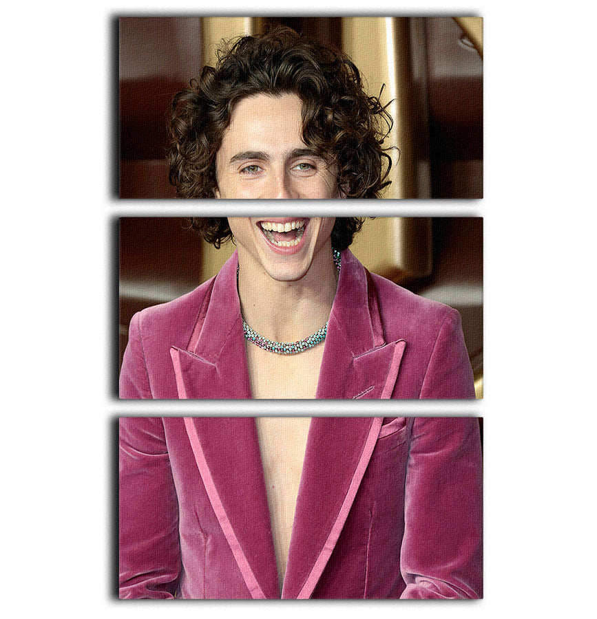 Timothee Chalamet at the premiere of Wonka 3 Split Panel Canvas Print - Canvas Art Rocks - 1
