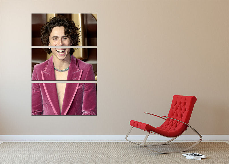 Timothee Chalamet at the premiere of Wonka 3 Split Panel Canvas Print - Canvas Art Rocks - 2