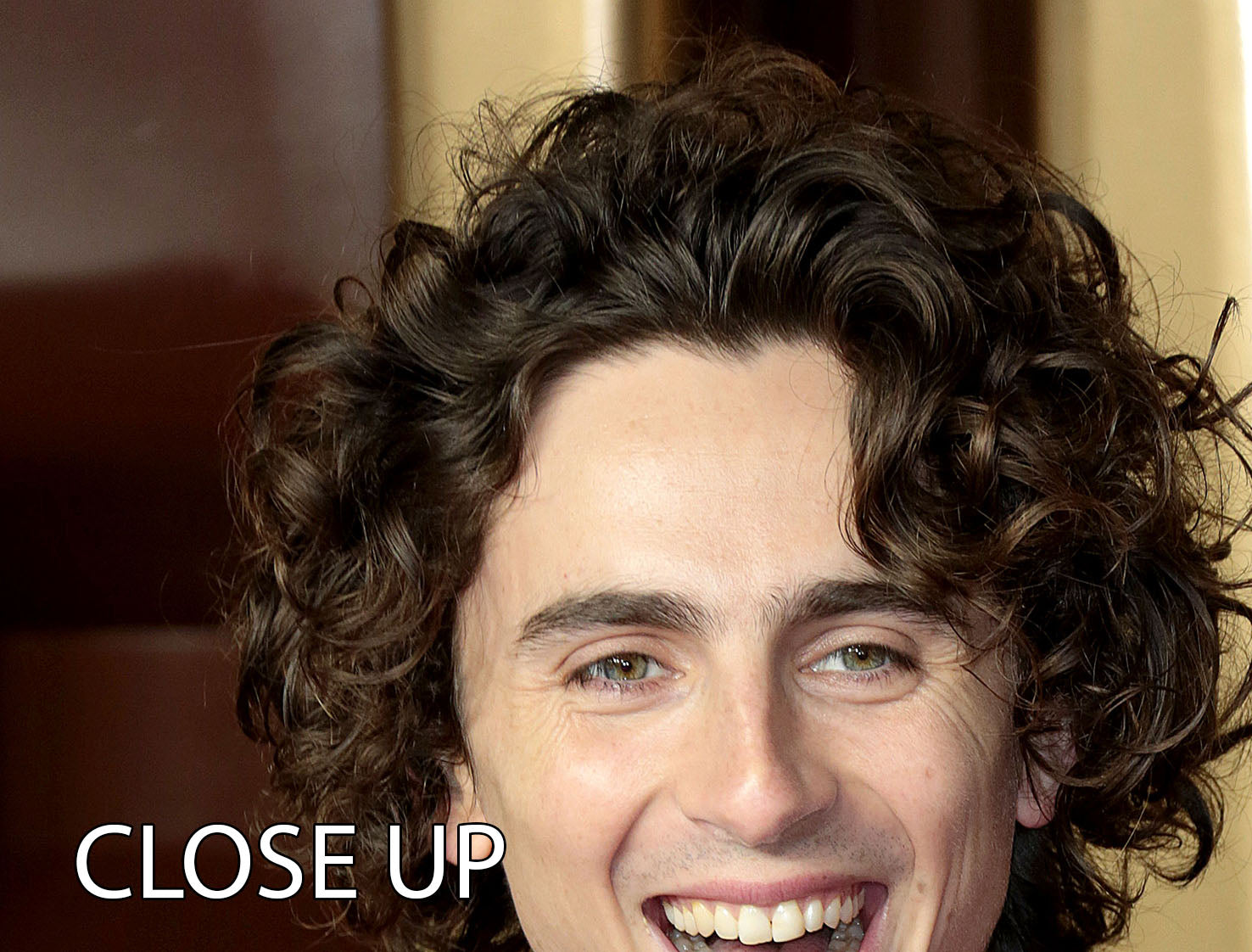 Timothee Chalamet at the premiere of Wonka 3 Split Panel Canvas Print - Canvas Art Rocks - 3