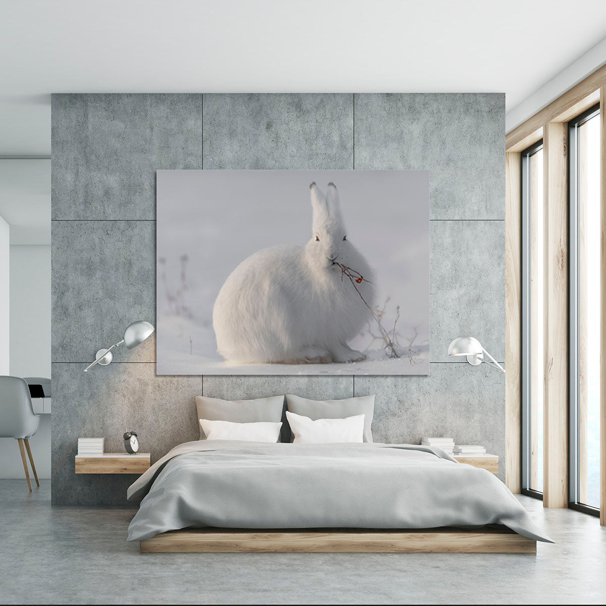 wild arctic hare Canvas Print or Poster - 1x - 5