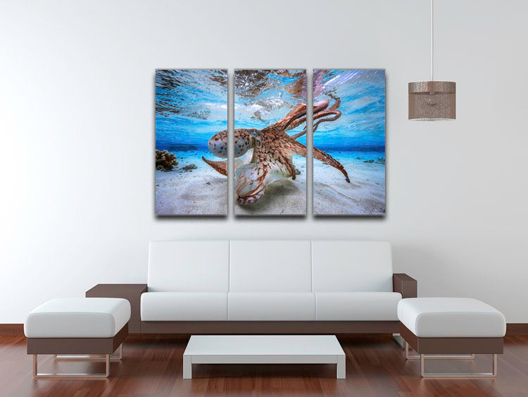Dancing Octopus 3 Split Panel Canvas Print - Canvas Art Rocks - 3
