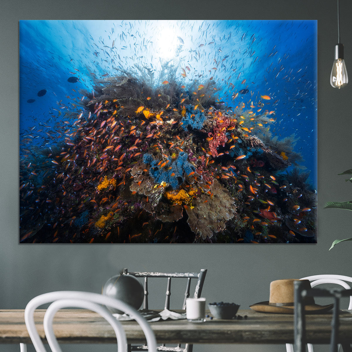 Life Explosion Canvas Print or Poster - Canvas Art Rocks - 3