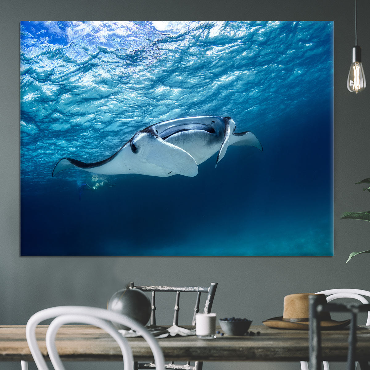 Manta Ray Canvas Print or Poster - Canvas Art Rocks - 3