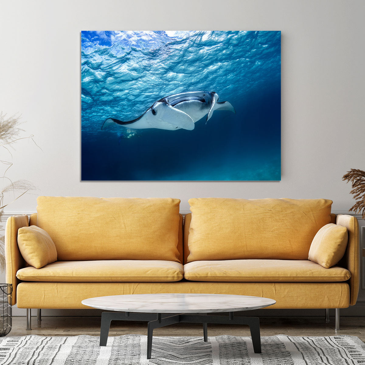 Manta Ray Canvas Print or Poster - Canvas Art Rocks - 4