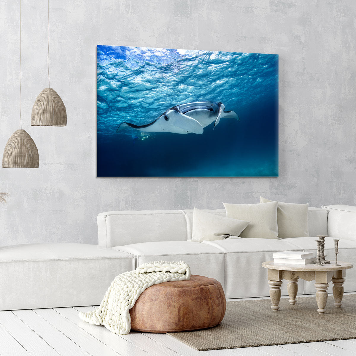 Manta Ray Canvas Print or Poster - Canvas Art Rocks - 6