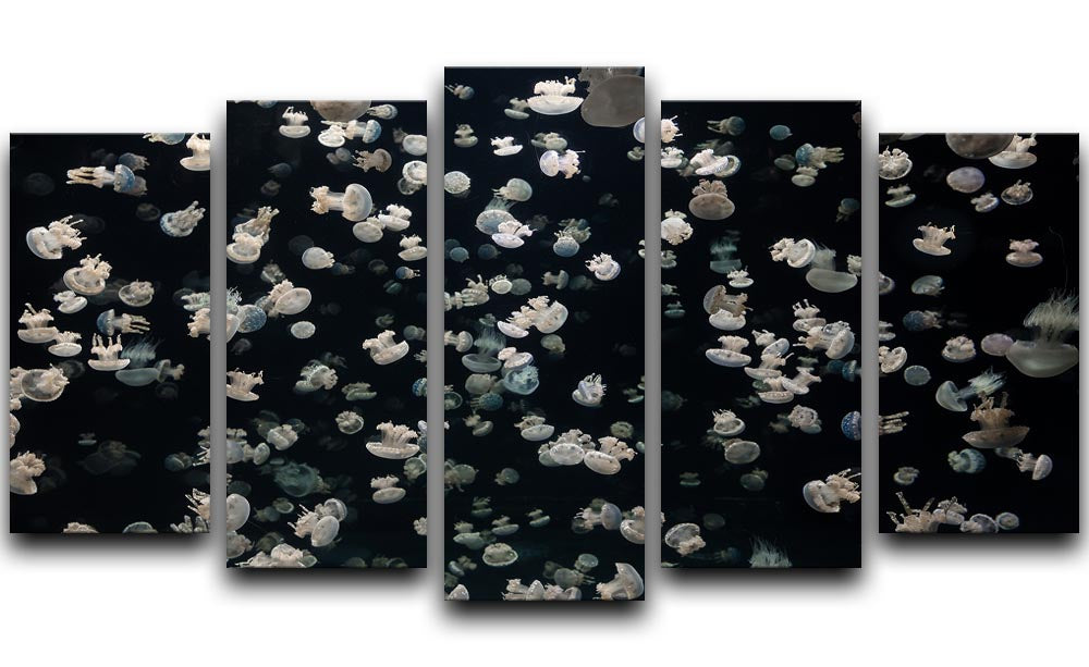 Just Some Jellies 5 Split Panel Canvas - Canvas Art Rocks - 1