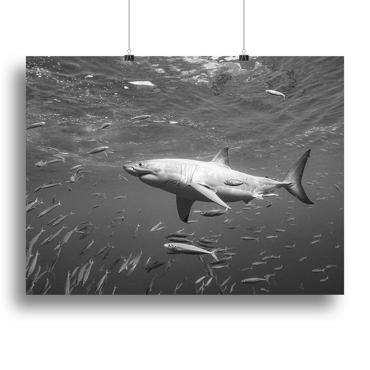 At The Surface Canvas Print or Poster - Canvas Art Rocks - 2