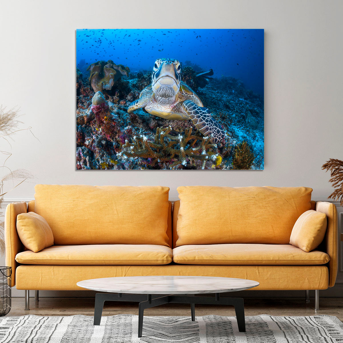 Face To Face With A Green Turtle Canvas Print or Poster - Canvas Art Rocks - 4