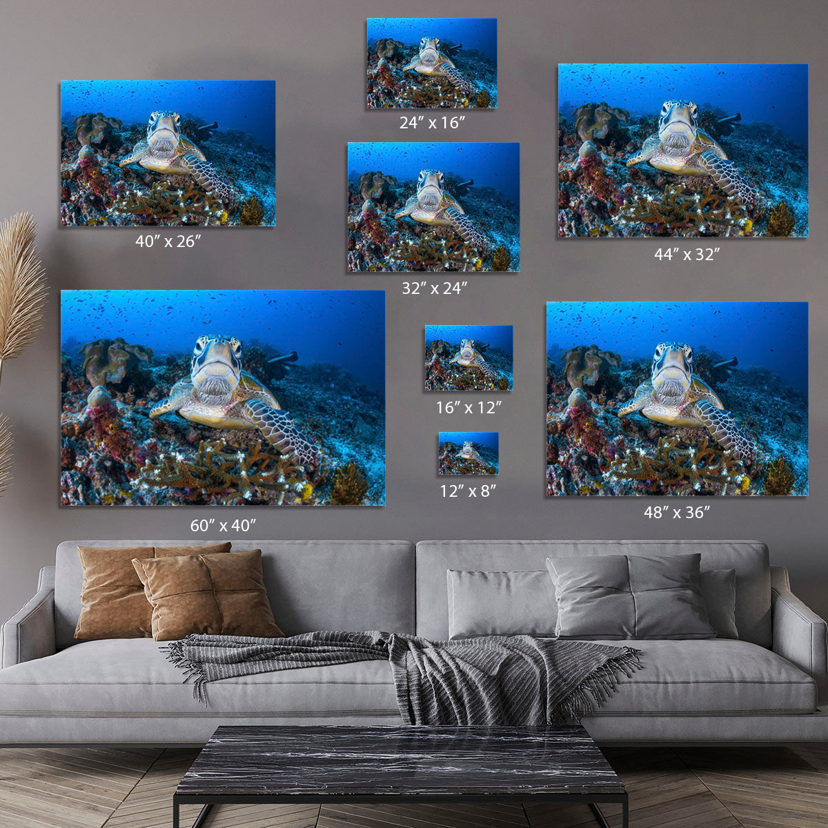 Face To Face With A Green Turtle Canvas Print or Poster - Canvas Art Rocks - 7