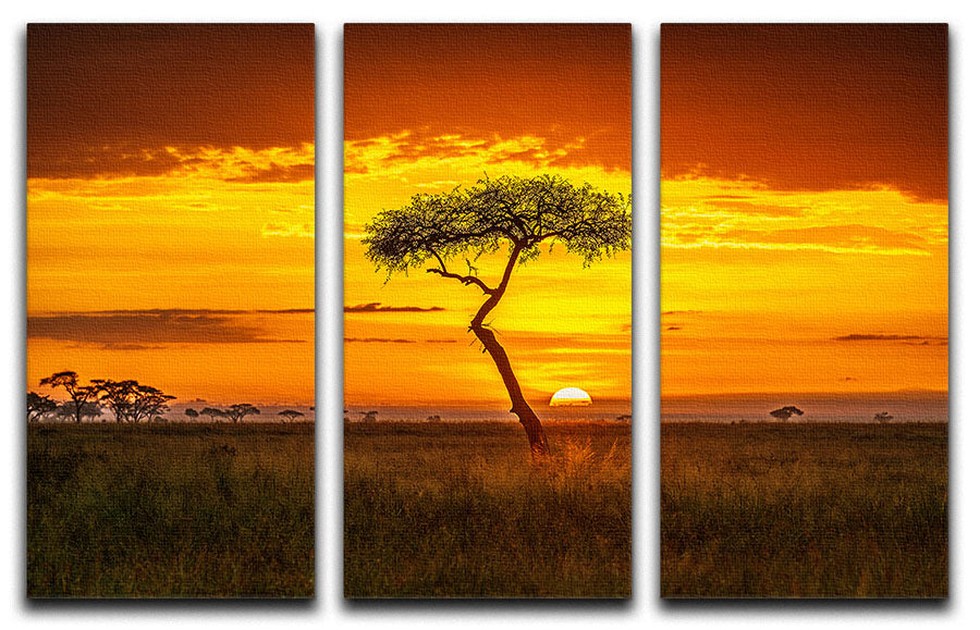 Primordial Africa 3 Split Panel Canvas Print - Canvas Art Rocks - 1