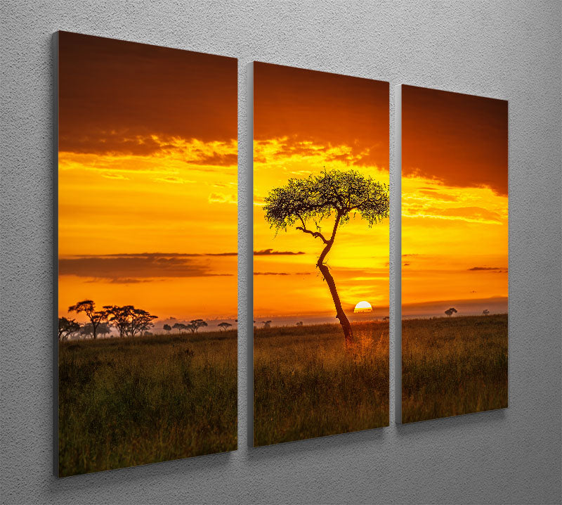 Primordial Africa 3 Split Panel Canvas Print - Canvas Art Rocks - 2
