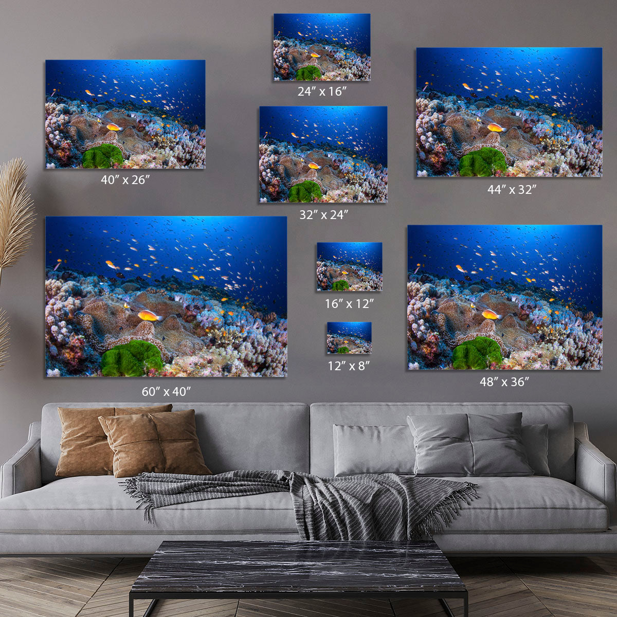 Anemon And Anthias Canvas Print or Poster - Canvas Art Rocks - 7