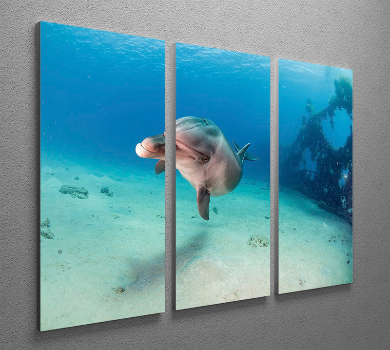 Dolphin 3 Split Panel Canvas Print - Canvas Art Rocks - 2