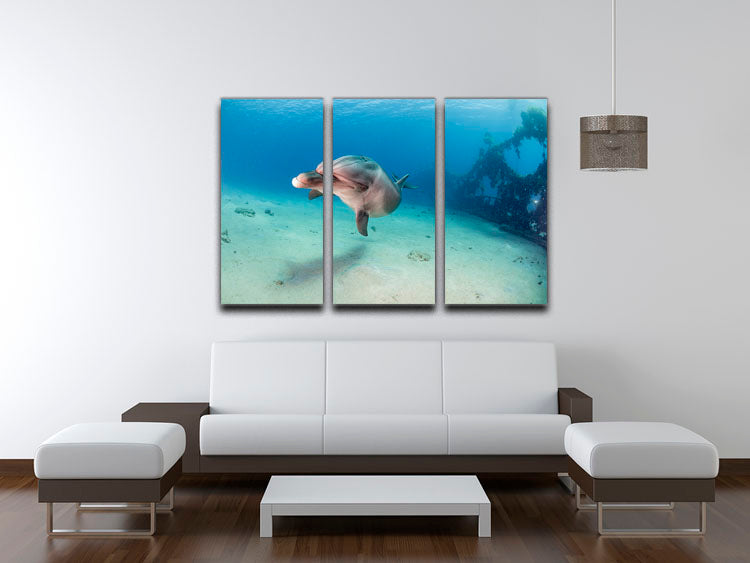 Dolphin 3 Split Panel Canvas Print - Canvas Art Rocks - 3