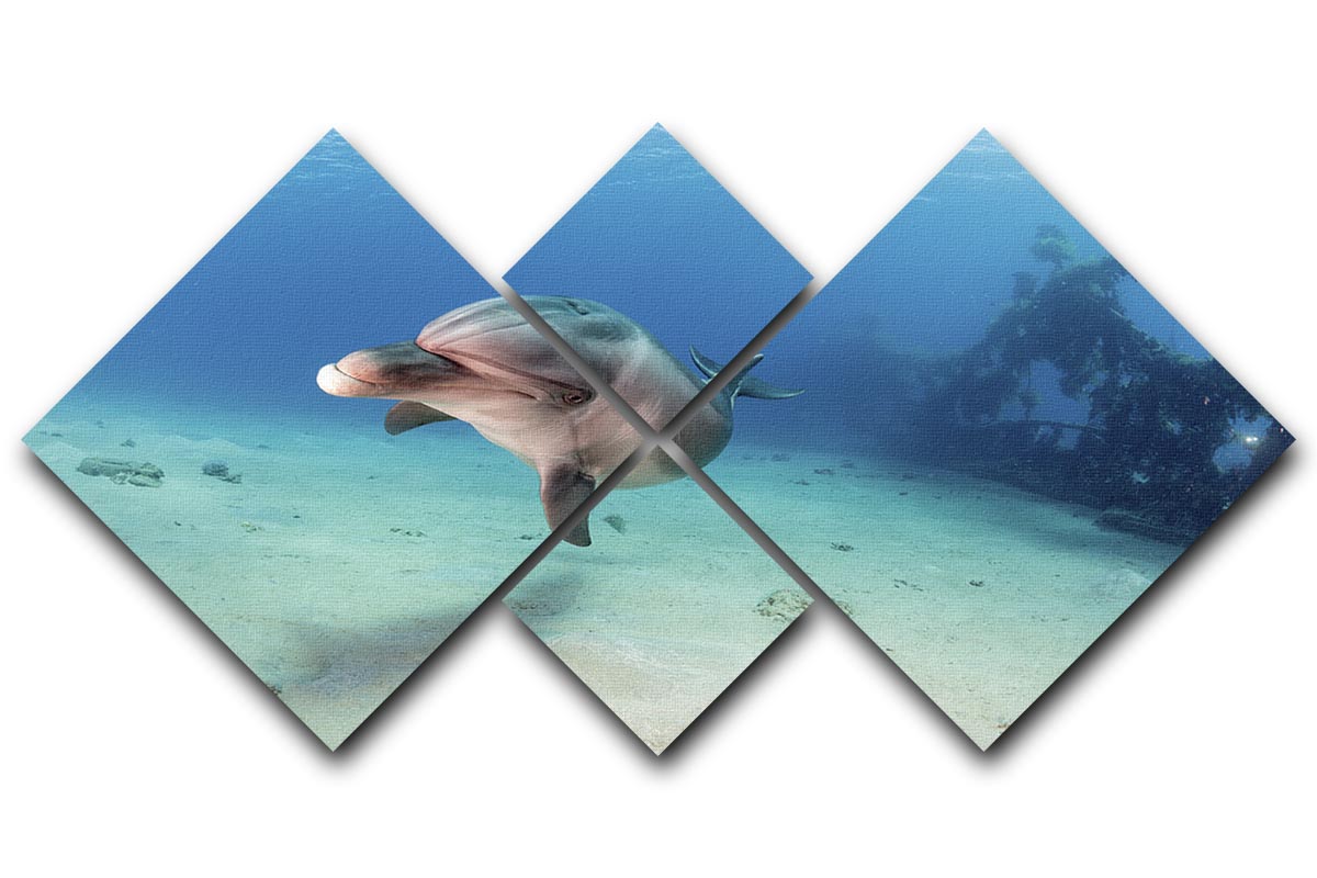 Dolphin 4 Square Multi Panel Canvas - Canvas Art Rocks - 1