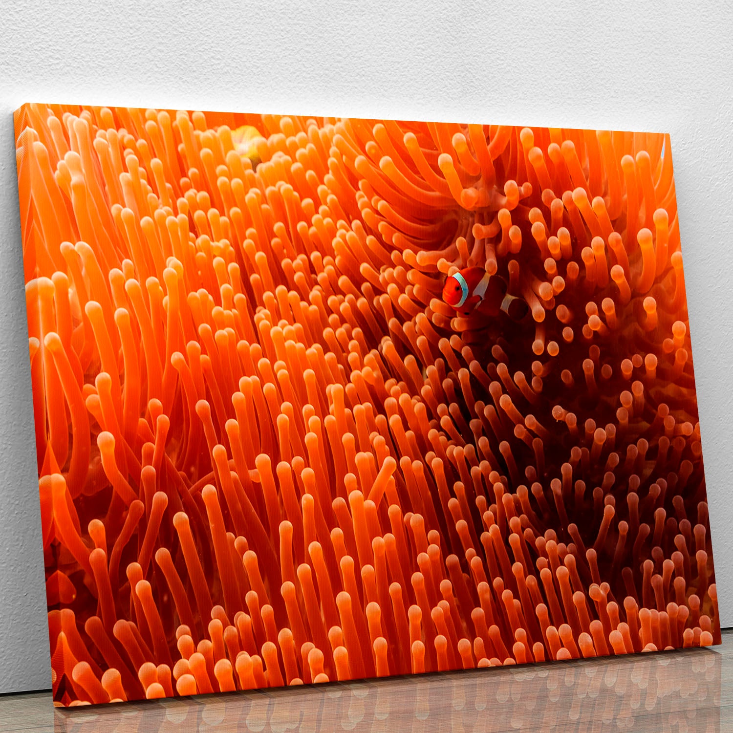 Hide And Seek Canvas Print or Poster - Canvas Art Rocks - 1