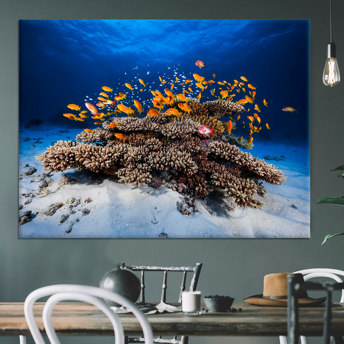 Marine Life Canvas Print or Poster - Canvas Art Rocks - 3