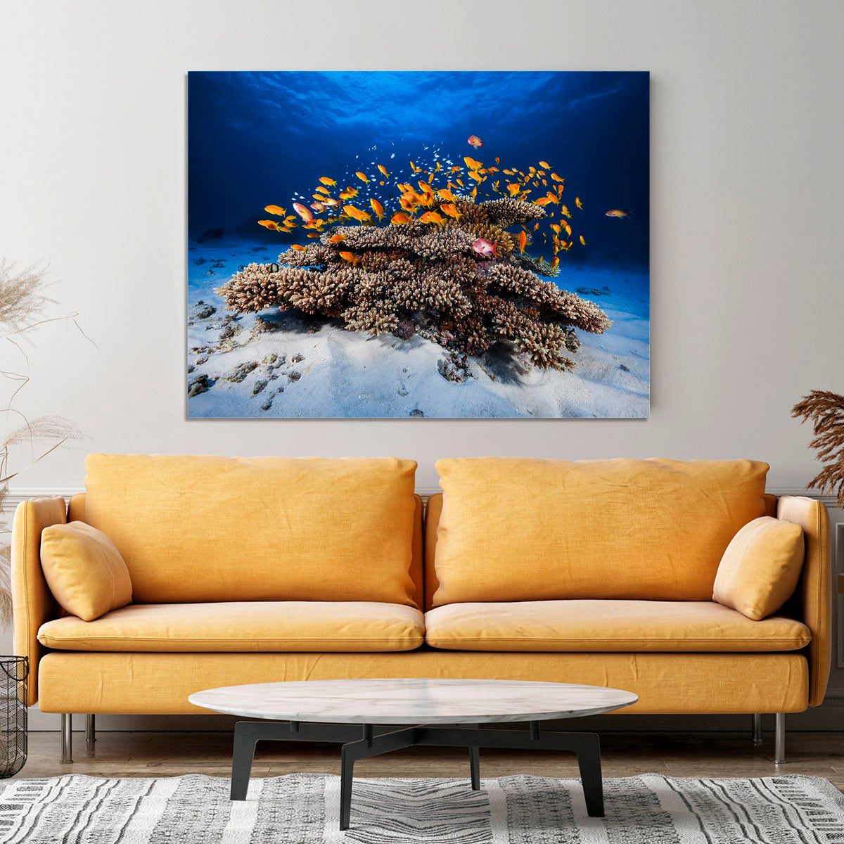 Marine Life Canvas Print or Poster - Canvas Art Rocks - 4