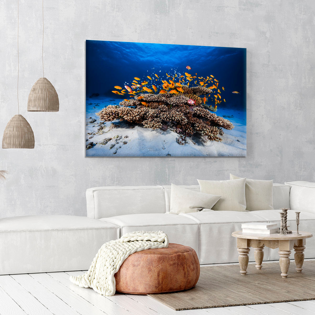 Marine Life Canvas Print or Poster - Canvas Art Rocks - 6