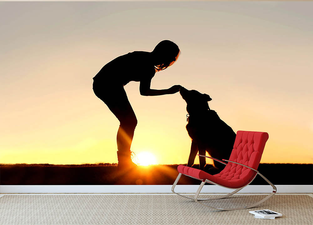 A silhouette of a girl sitting outside in the grass with her pet German Shepherd Mix Dog feeding him treats during training in front of a sunsetting sky. Wall Mural Wallpaper - Canvas Art Rocks - 2