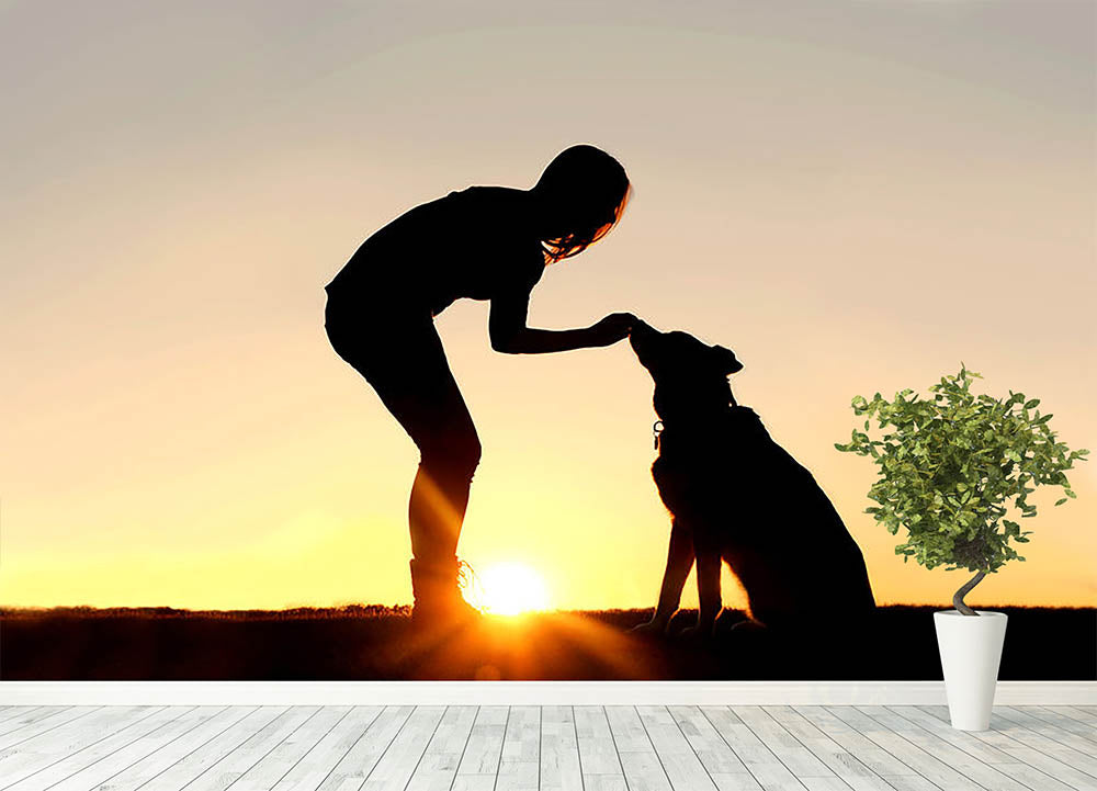 A silhouette of a girl sitting outside in the grass with her pet German Shepherd Mix Dog feeding him treats during training in front of a sunsetting sky. Wall Mural Wallpaper - Canvas Art Rocks - 4
