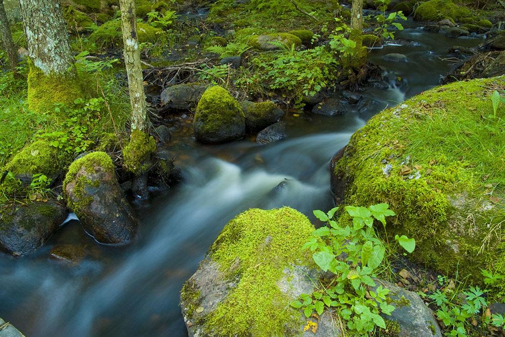 A small Wall Mural Wallpaper - Canvas Art Rocks - 1