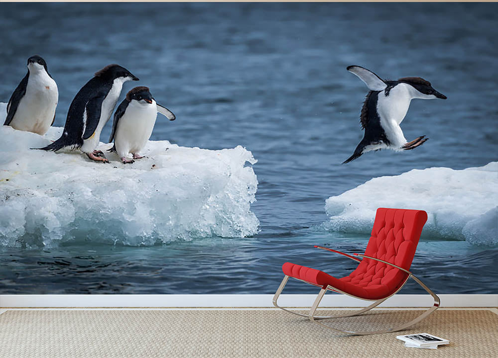 Adelie penguin jumping between two ice floes Wall Mural Wallpaper - Canvas Art Rocks - 2