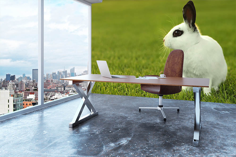 Adorable White Bunny Rabbit Wall Mural Wallpaper - Canvas Art Rocks - 3