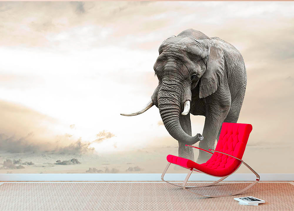 African elephant male walking alone in desert at sunset Wall Mural Wallpaper - Canvas Art Rocks - 2